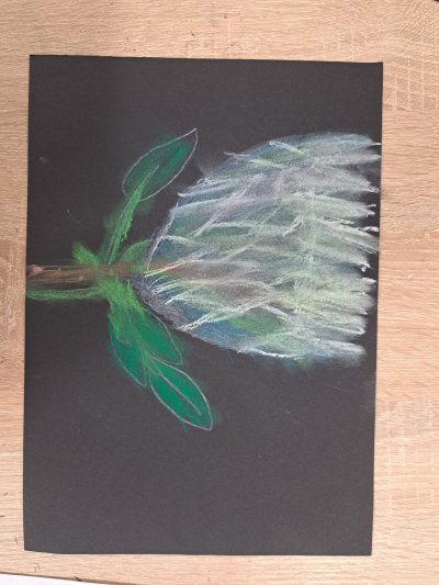 Zajęcia plastyczne 21.11.23